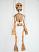 squelette-marionnette-poupee-vk071d|La-Galerie-des-Marionnettes-Tchèques|marionnettes-poupees.com