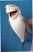 requin-marionnette-mp202a✔poupee_ventriloquist_acheter_sur_marionnettes-poupees.com|La-Galerie-des-Marionnettes-Tchèques